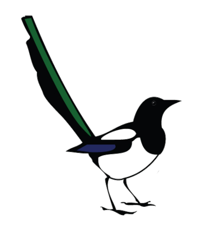 Magpie IT Services